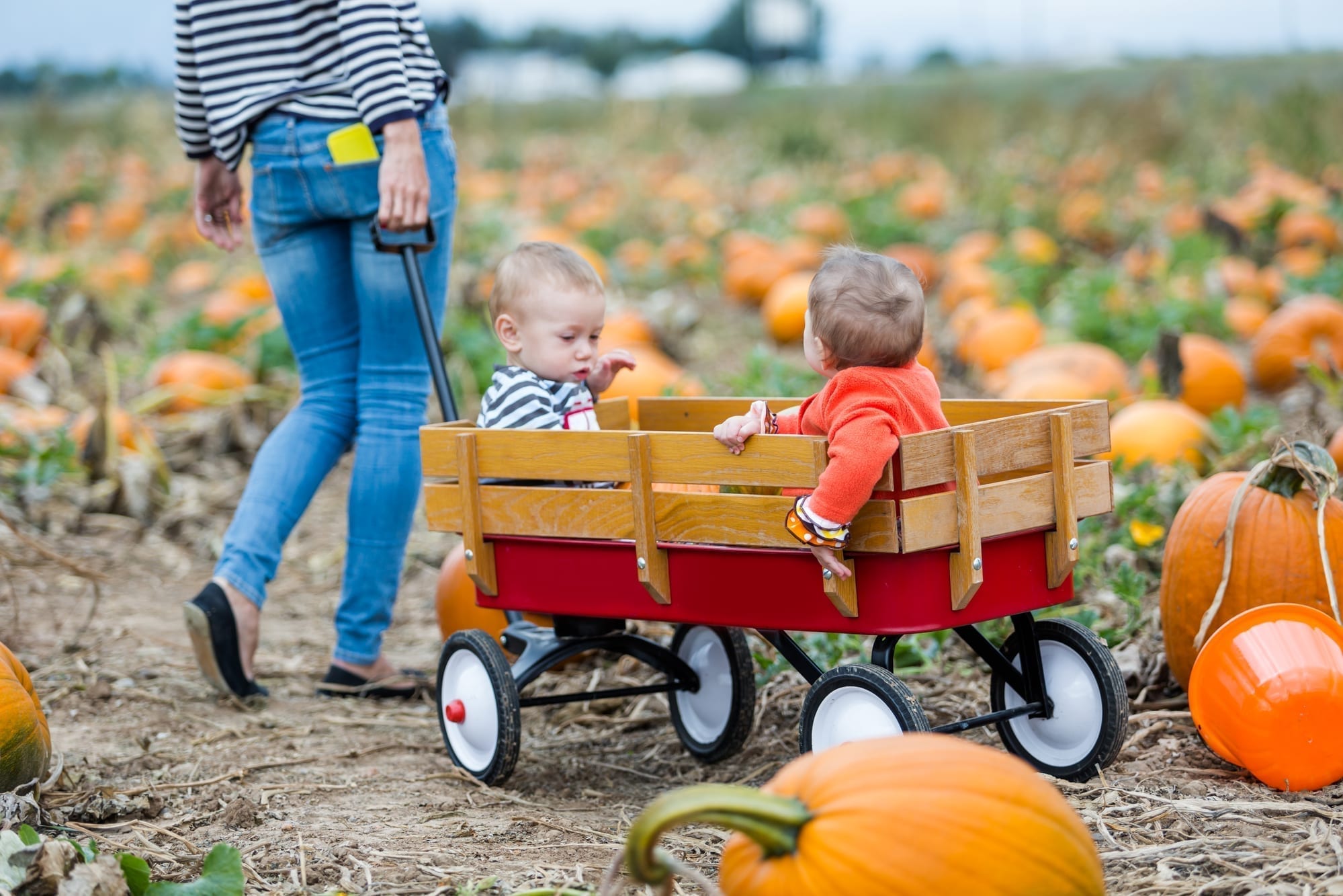 Must-Do Fall Activities for Kids in Overland Park, KS