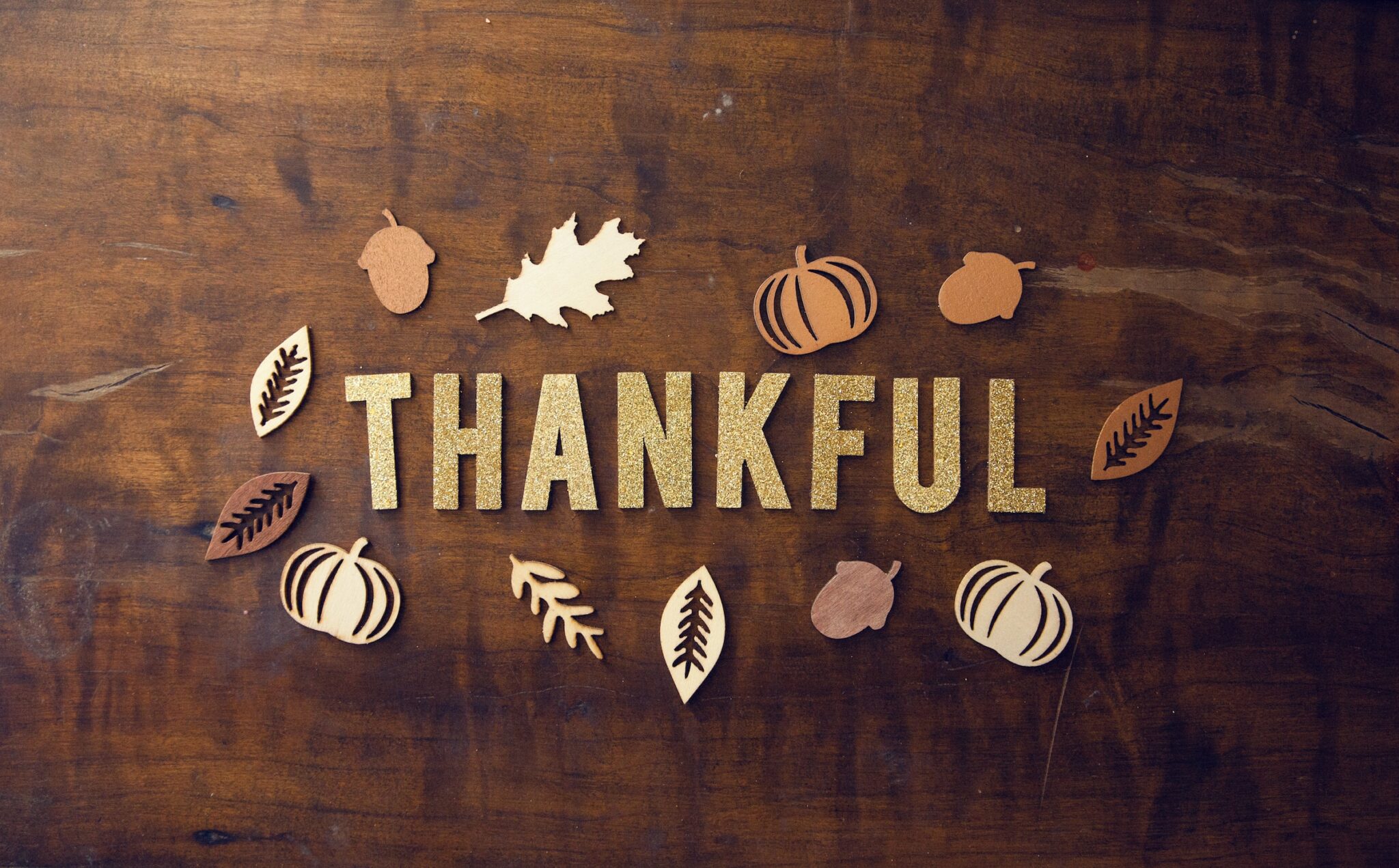 The word “thankful” surrounded by leaves, pumpkins, and acorns